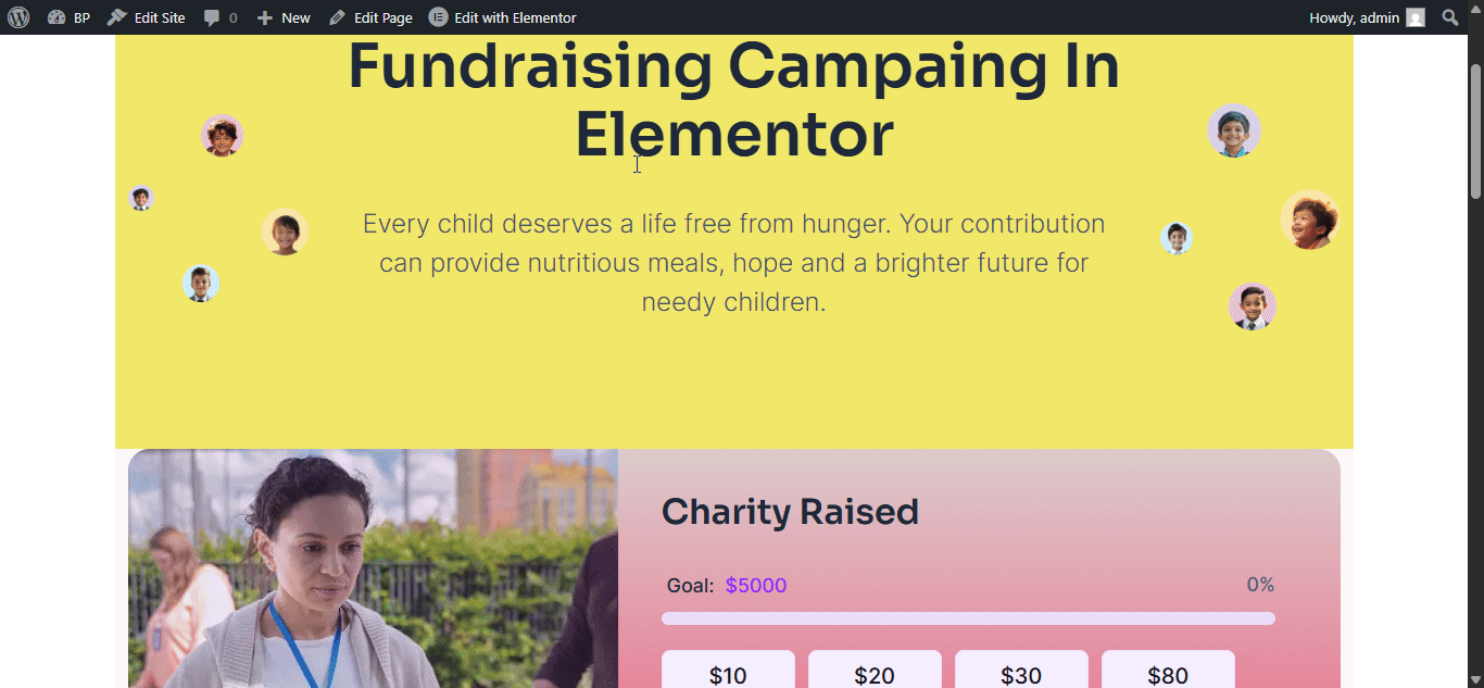 final outcome of fundraising campaing in elementor