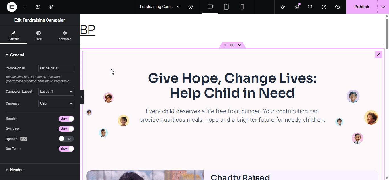 configure fundraising campaign