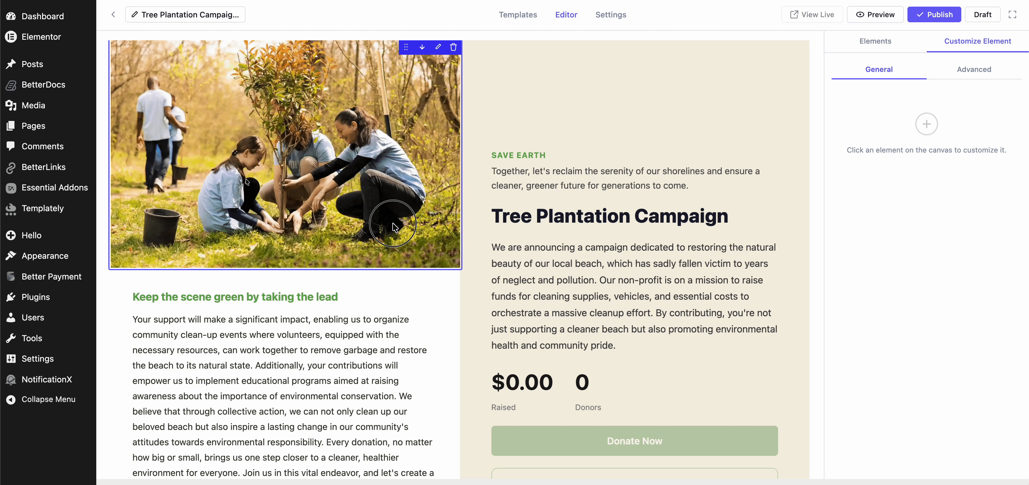 customize campaign fields
